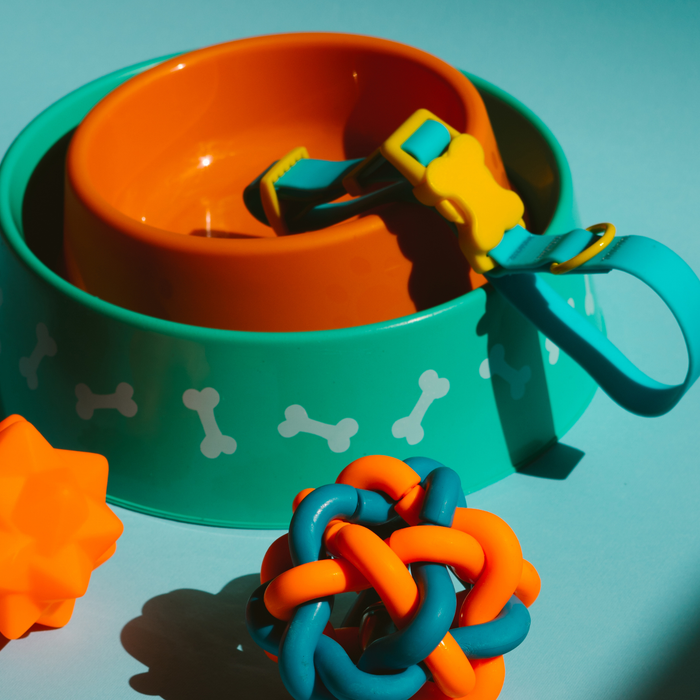 Pet Supplies