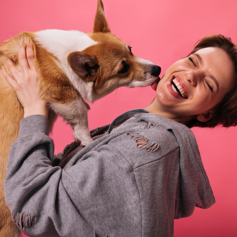 Pet Lover